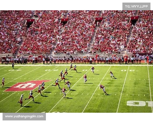 足球入门指南_足球入门赛事新手起点精彩竞技舞台